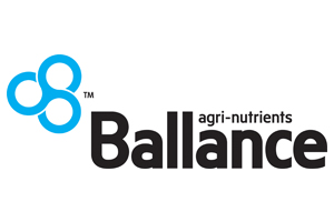 Ballancelogo