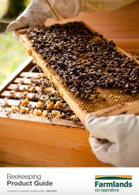 Beekeeping Guide