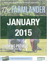 Plan 365 January 2015
