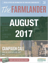 Plan 365 August 2017