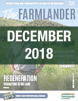Plan 365 December 2018
