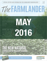 Plan 365 May 2016