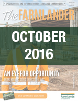 Plan 365 October 2016