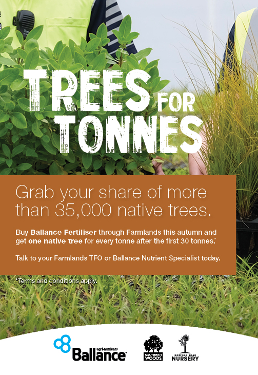 Trees For Tonnes